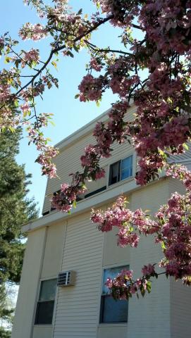 Riverside Village Apartments | Mass Access Housing Registry